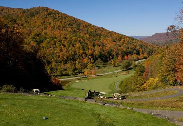 Allegheny Springs Snowshoe Luaran gambar
