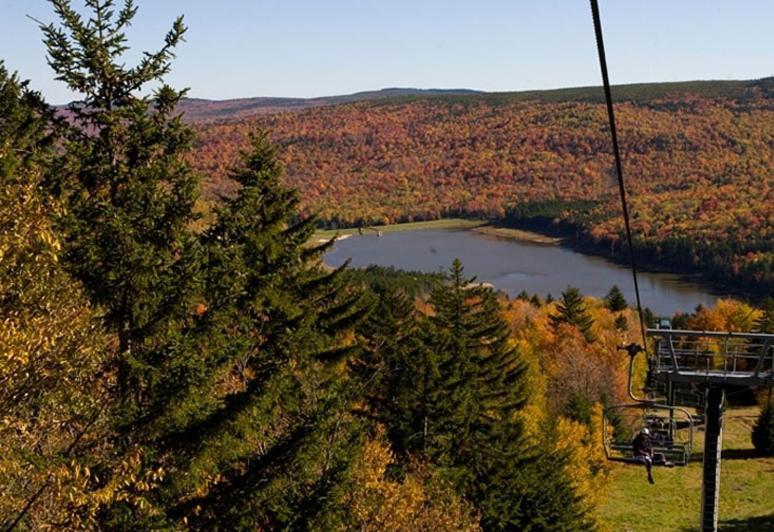 Allegheny Springs Snowshoe Luaran gambar