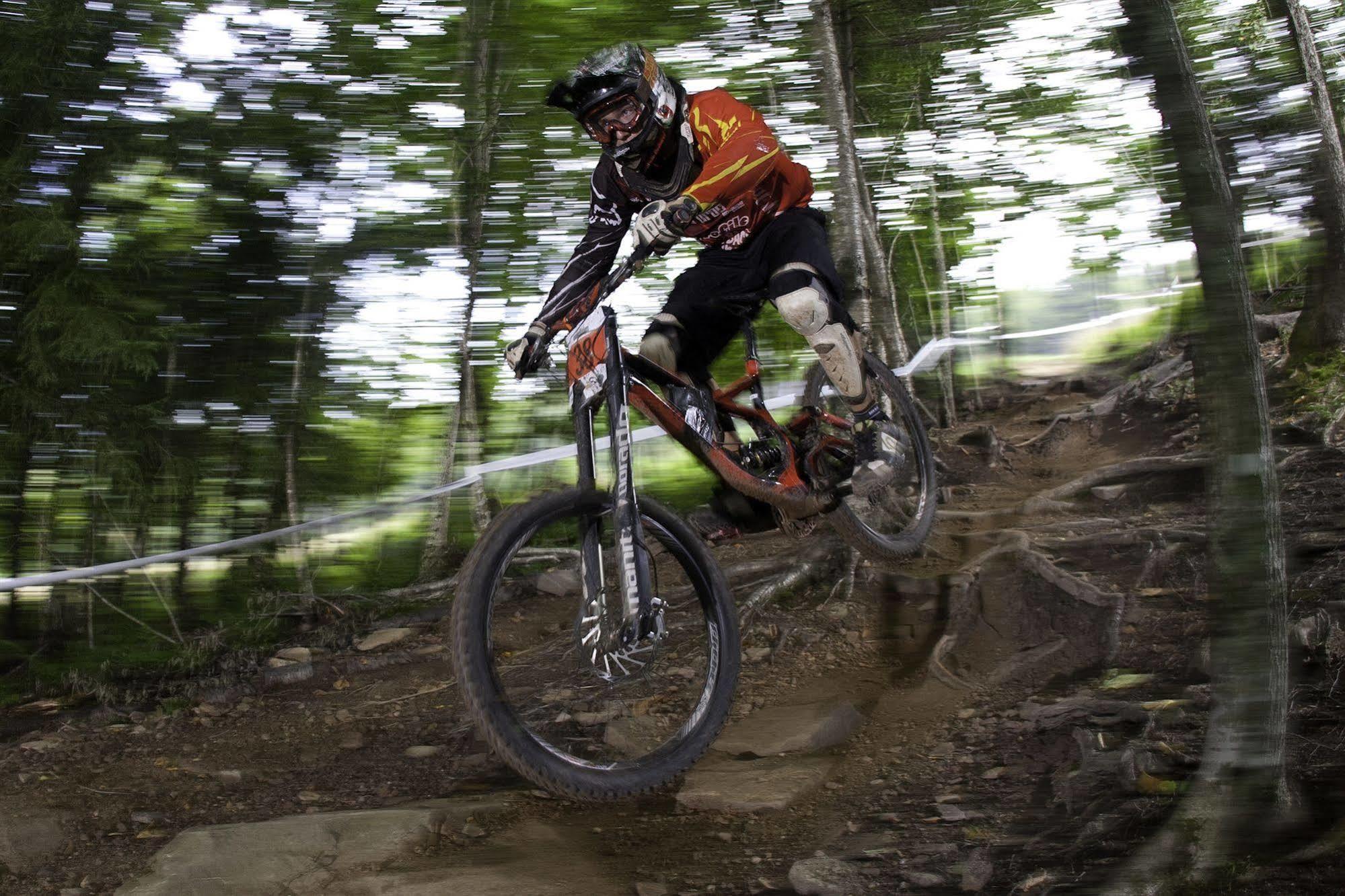 Allegheny Springs Snowshoe Luaran gambar