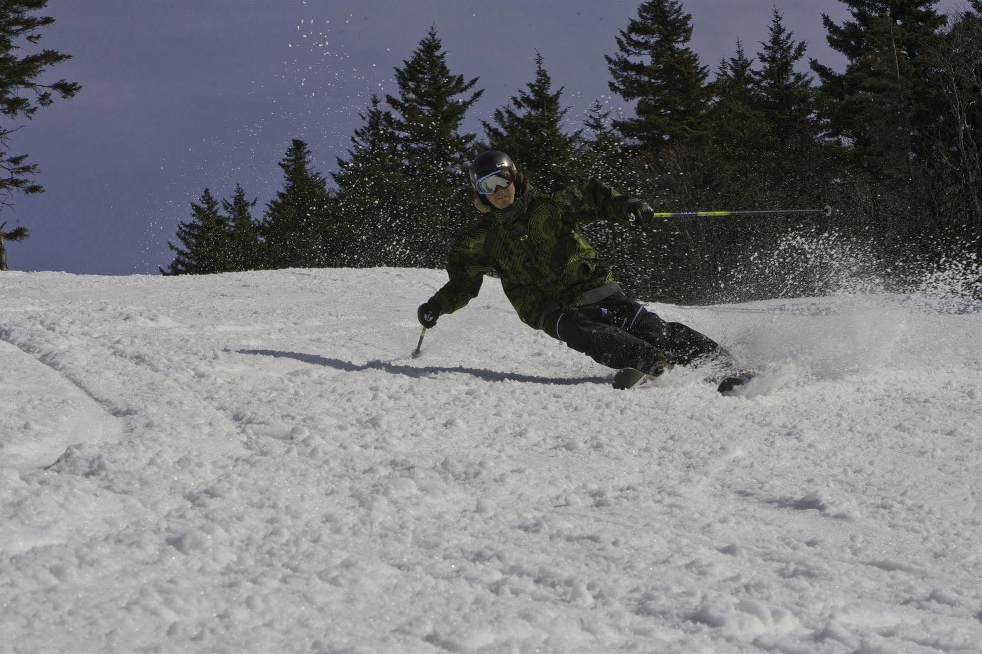 Allegheny Springs Snowshoe Luaran gambar