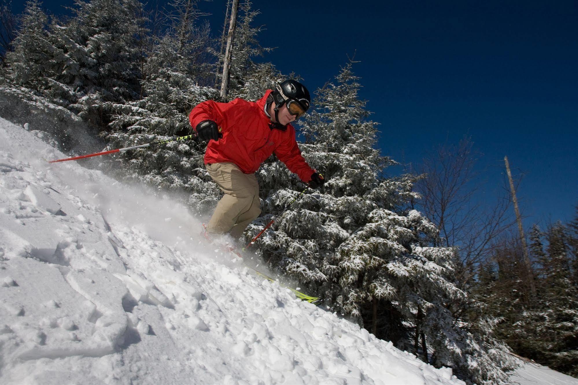 Allegheny Springs Snowshoe Luaran gambar