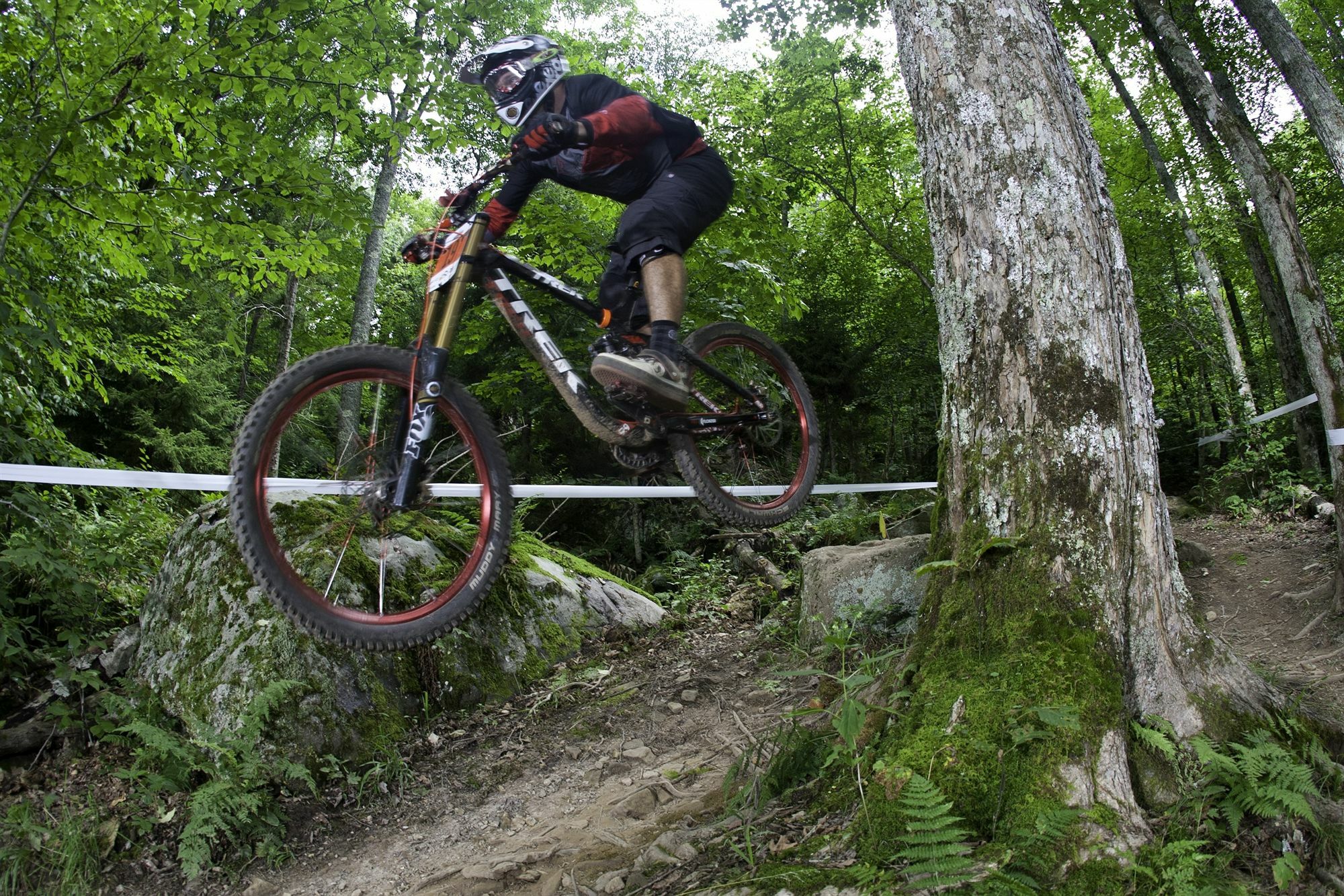 Allegheny Springs Snowshoe Luaran gambar
