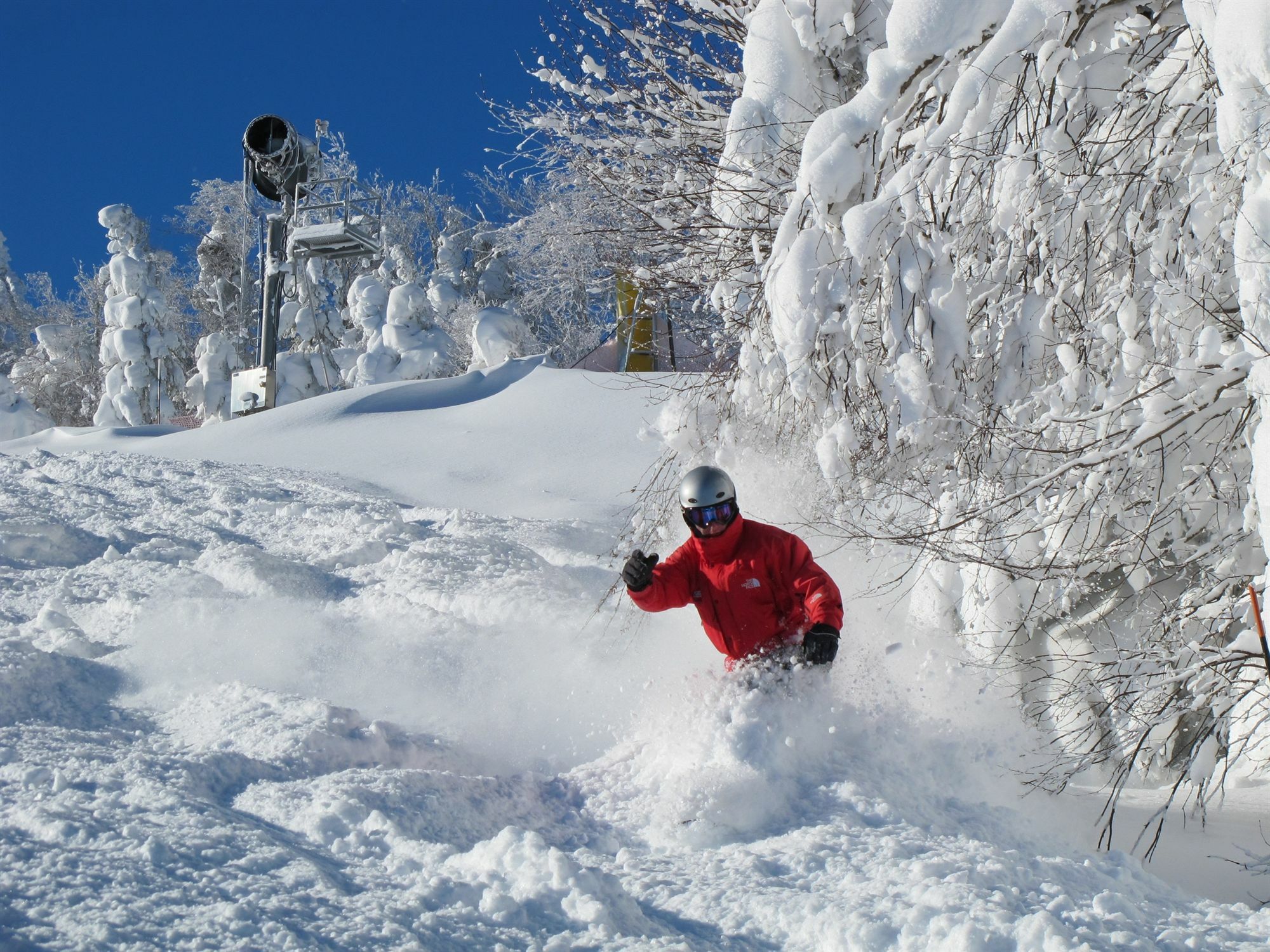 Allegheny Springs Snowshoe Luaran gambar